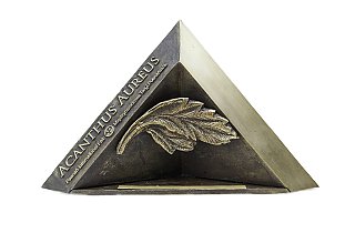 Acanthus Aureus i Złoty Medal MTP 2013