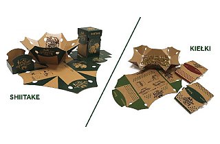 ​Smurfit Kappa Polska laureatem 12. edycji konkursu ART OF PACKAGING w dwóch kategoriach!