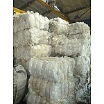 Folia LDPE transparent