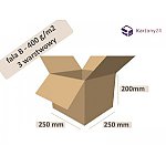 karton 250x250x200 - 20szt. _ pudełko (250250200)