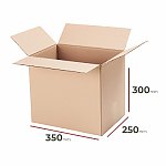 _Karton_350x250x300_-_1920_szt. (P3502503002ZAK)