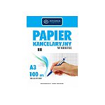 Papier kancelaryjny INTERDRUK A3 w kratkę 100ark. (PAKA100)