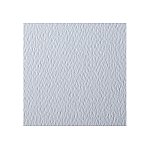 Papier ozdobny FREE STYLE Felt biały 220g/m2 25ark. (FS25/A4/VFE220/00)
