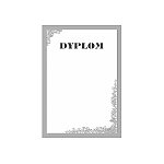 Papier - Papeteria komputerowa OPUS Silver 190g/m2 25ark. (XYPSILVER)