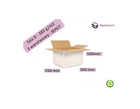 karton biały 250x200x100 - 20szt. wymiary zewn. _ pudełko (B250200100B)