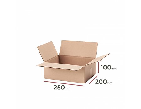 _Karton_250x200x100_wym._zew._-_6840_szt. (P2502001003ZAK)
