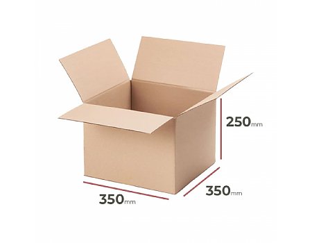 _Karton_350x350x250_-_1440_szt. (P3503502502ZAK)
