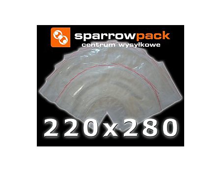 Woreczki strunowe 220x280 mm - 100 sztuk worki torebki