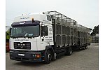 Gitterbox giterbox kosz pojemnik kontener katon na drewno drzewo 2000x1000x970-galeria - zdjęcie-4